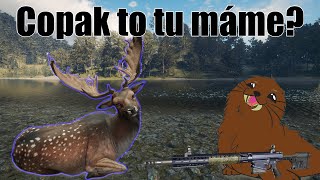 Copak to tu máme? 😍| The Hunter Call of the Wild #34