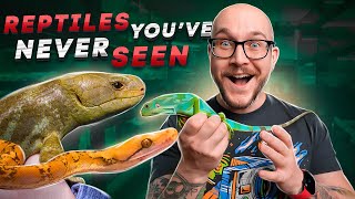 5 Of My Rarest Reptiles I've Never Shown You Before | Mini Reptile Room Tour