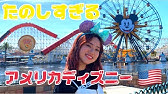 アメリカのディズニーランドに泣かされる Youtube
