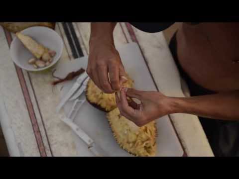 How To Cut, Open, Prepare, And Eat A Delicious Jackfruit! A Tutorial By Hawaiian Ola