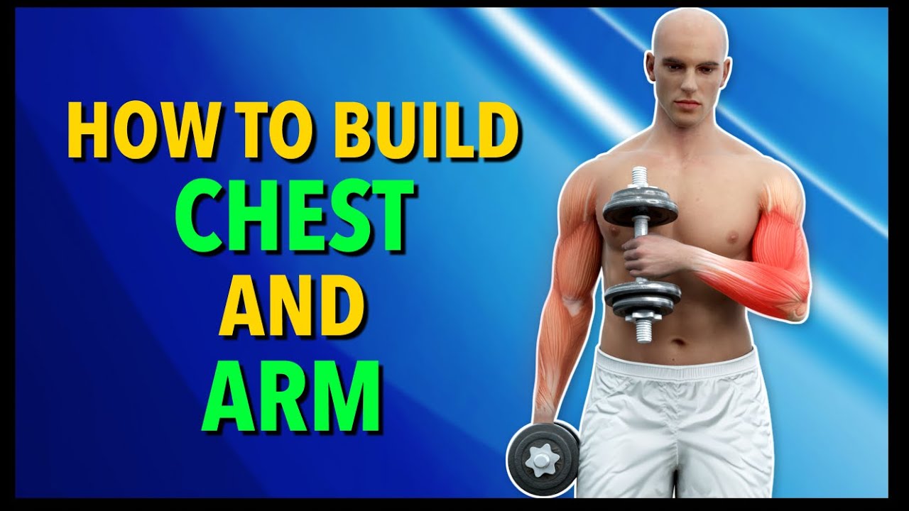 How to Build Chest and Arm Muscles Weights and Calisthenics YouTube