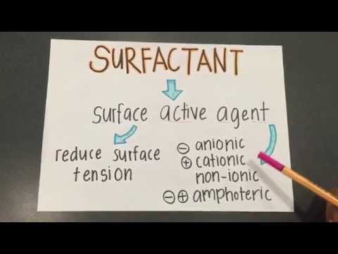 Surfactant : Why do surfactants make water adsorbable by a dry soil?