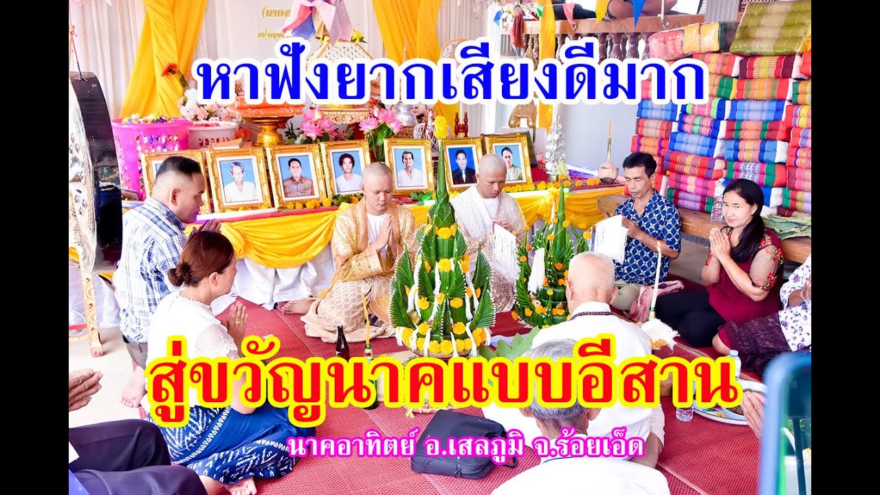 เสียงดีมาก ฟังแล้วขนลุก! สู่ขวัญนาคม่วนๆ แบบฉบับหมอสูตรขวัญอีสานบ้านเฮา