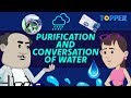 Why do we need to purify water? |Methods of Purify Water| Conservation of Water|Class 8th Chemistry|