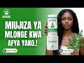 Faida 23 Za Mlonge Kwa Afya Ya Mwanadamu Fahamu Matumizi Sahihi Ya Mlonge Faida 23 Za Mlonge Kwa Afya Ya Mwanadamu Fahamu Matumizi Sahihi Ya Mlonge