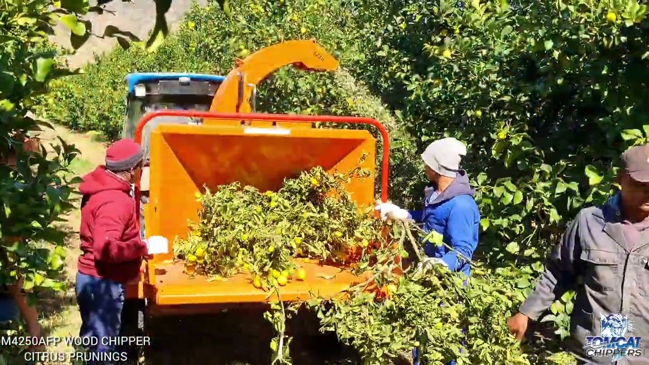 youtube-video-thumbnail