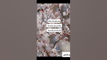 تلاوة مباركة من كتاب الله العزيز