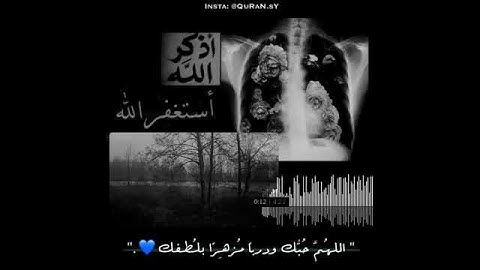 ايات من سورة الانسان  حالات واتس اب 💙💙
