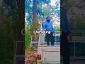 #trending #shortvideo #viralvideo