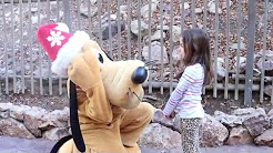 Thanksgiving 2015 Disneyland Trip