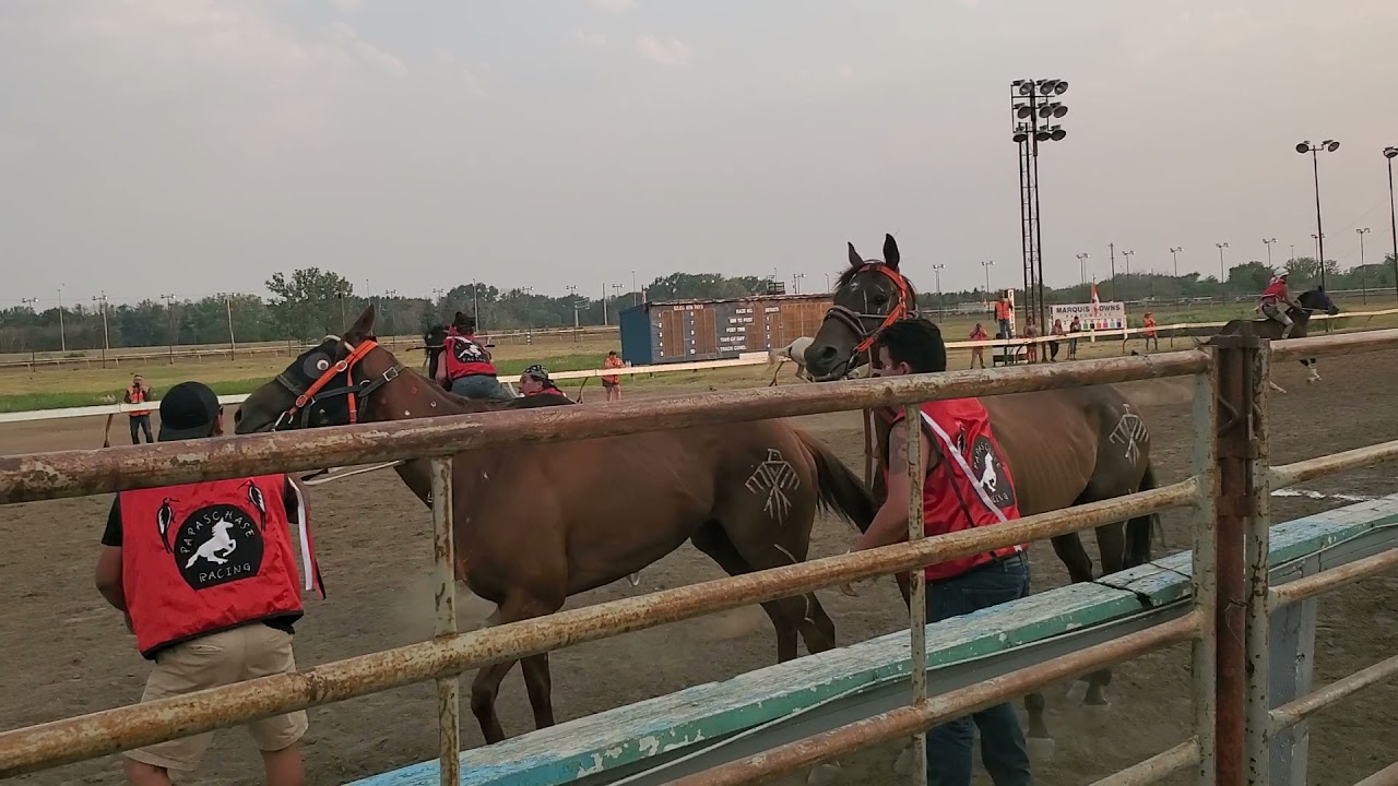 Saskatoon Indian relay Saturday July 17th 2020 nice exchange by Joseph