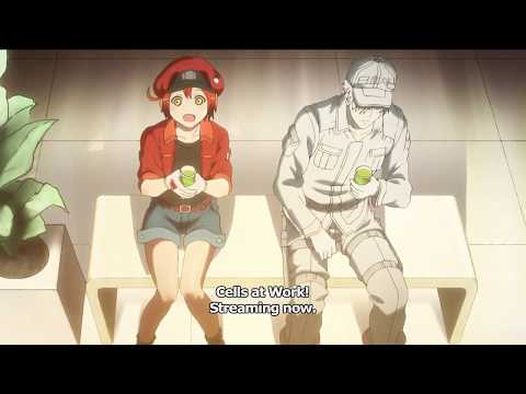 Arquivos Cells at Work! (Hataraku Saibou) - IntoxiAnime