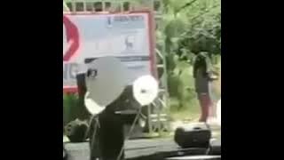 Million Reasons| Breanna Yde cover