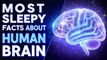 The Most Relaxing 100 Facts About Brain — Fall Asleep Instantly | The Sleepy Professor