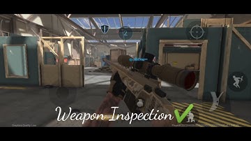 Weapon Inspection In Combat Master