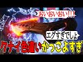 クナイの色違いがかっこよすぎる!海外の反応【Apex翻訳】【まとめぺくす】