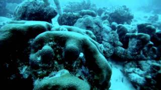 Bonaire 2011