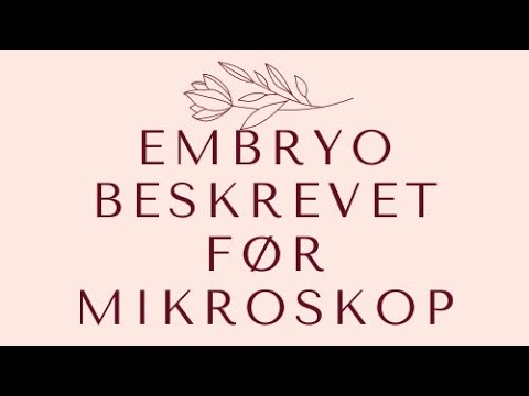 EMBRYO BESKREVET FØR MIKROSKOP - With English sub