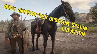 RDRII 100% guaranteed opossum spawn location