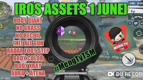 ROS ASSETS 1 JUNE | SCRIPT 1HIT ALL GUN | BODY GIANT | NO RECOIL | ASSETS BYPASS