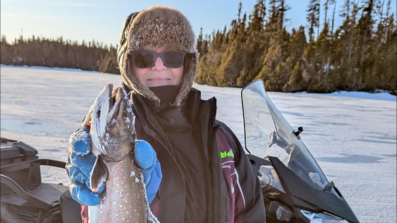 Big brookies northern newfoundland