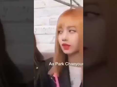 Yah Lalisa !! Aa Park  Chaeyoung !!