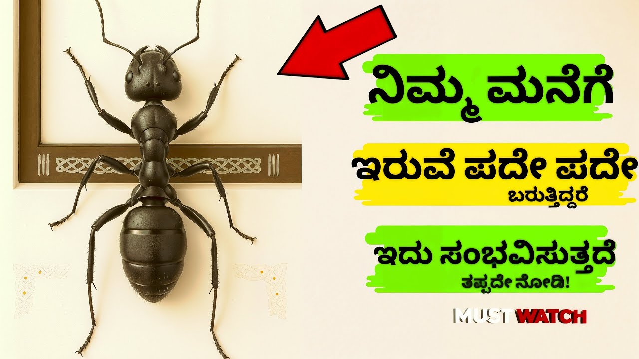 ನಿಮ್ಮ ಮನೆಗೆ ಇರುವೆಗಳು ಮತ್ತೆ ಮತ್ತೆ ಬರುತ್ತಿದೆಯೇ? ಹಾಗಾದರೆ ನಿಮ್ಮ ಜೀವನದಲ್ಲಿ ಆಗುವುದೇ ಇದು Lakshmi ಲಕ್ಷ್ಮಿ