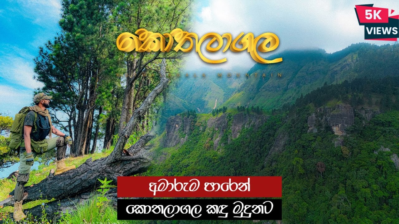 Kothalagala Mountain Hiking & Night Camping | අමාරුම පාරෙන් සුන්දර කොතලාගල කදුමුදුනට | Kurudu Ella