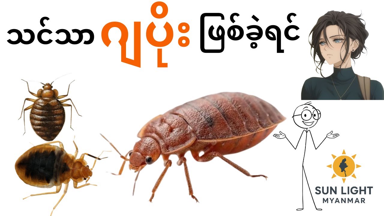 သင်သာ ဂျပိုး ဖြစ်ခဲ့ရင်