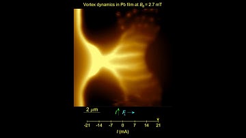 First Direct Observation Of Ultra-Fast Vortex Dynamics In Superconductors