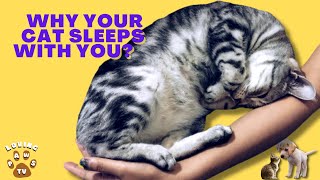 Reasons Why My Cat Sleeps With Me In Bed? by Loving Paws TV 1,366 views 2 years ago 2 minutes, 44 seconds