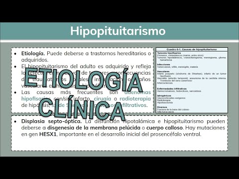 Video: ¿Dónde se localiza el hipopituitarismo?