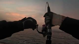 Shore jigging Sicilia
