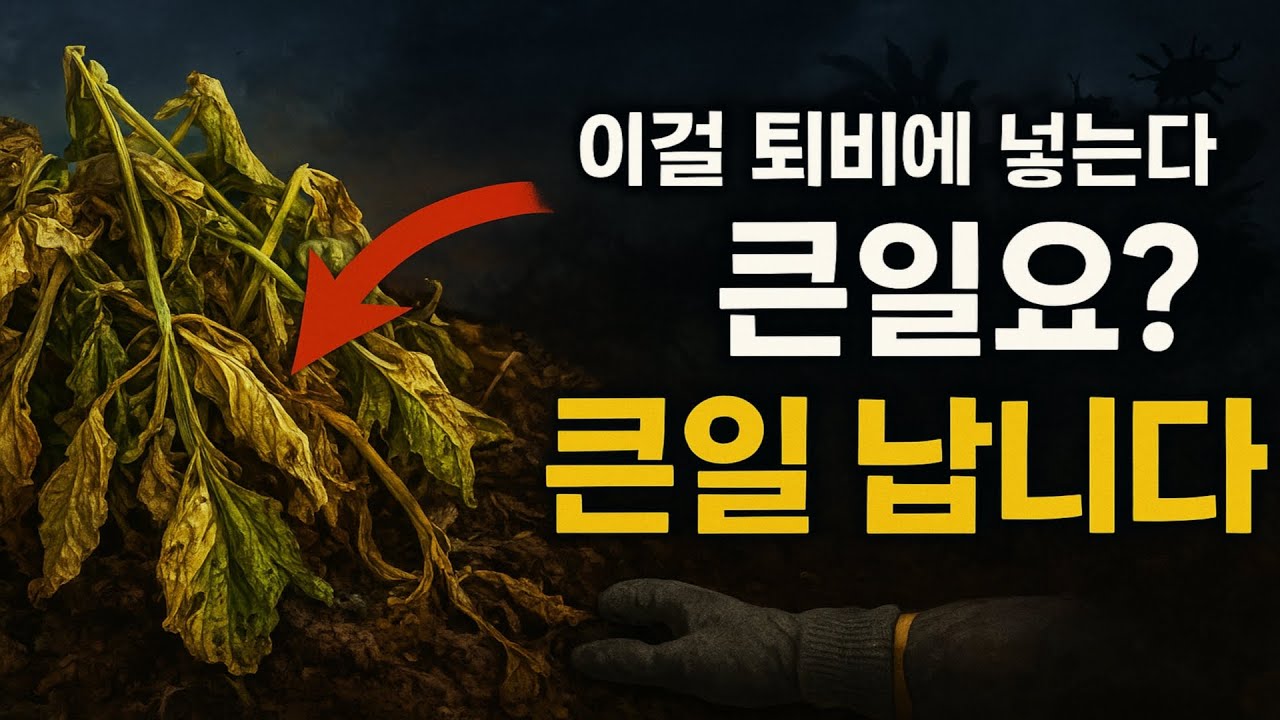 채소 잎이나 줄기를 퇴비에 넣으신다고요? 그건 내년 농사를 완전히 망치는 치명적인 실수입니다!