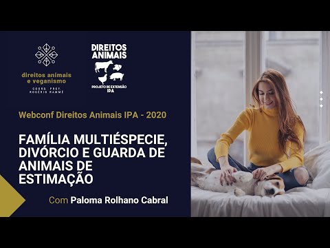 Vídeo: Domicílios Multi-Pet: É direito para sua família?