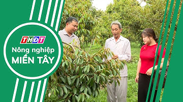 Toàn cảnh Nông nghiệp - 15/6/2025 | Nông nghiệp Miền Tây