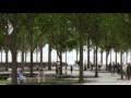 9/11 Memorial Trees