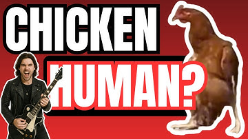 Chatify - Chicken Joe