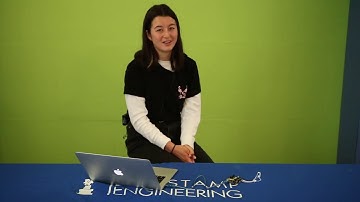 Agnes - Milestone One - Arduino LED Bonsai Tree