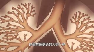 [日本語and中国語字幕]柴静／『穹頂之下』 中国のPM2 5問題ドキュメンタリー