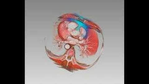 Multiple Volume Rendering by Particle Fusion