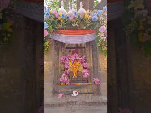 งดงามอลังการ!! ประเทศไทยเป็นเจ้าภาพจัดดอกไม้บูชาต้นพระศรีมหาโพธิ์ ตลอด ๑๐ วันเต็ม ณ โพธิมณฑล