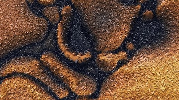 Max Cooper - A Model Of Reality (Official video by Eris is Red)