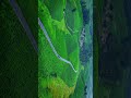 Nature lover