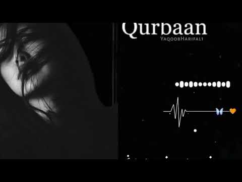 د گران غم دیے زہ زینی مرمہ شاہ فاروق پشتو سونگ 