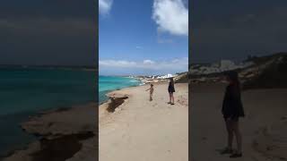 IMG 8118