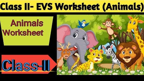 Class 2- EVS (Animals) worksheet chapter Part-2 #class2#EVSsyllabus#animalsworksheet