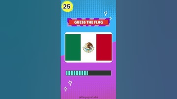 Guess the Flag Challenge No. 25 | Flag Game #flagquiz #guesstheflag #quiz #shorts  #americanflags