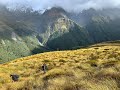 Hunting NZ: 2021 Roar Trip 3 (South Island)