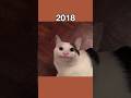 Legendary Cat Memes (then vs now) #shorts
